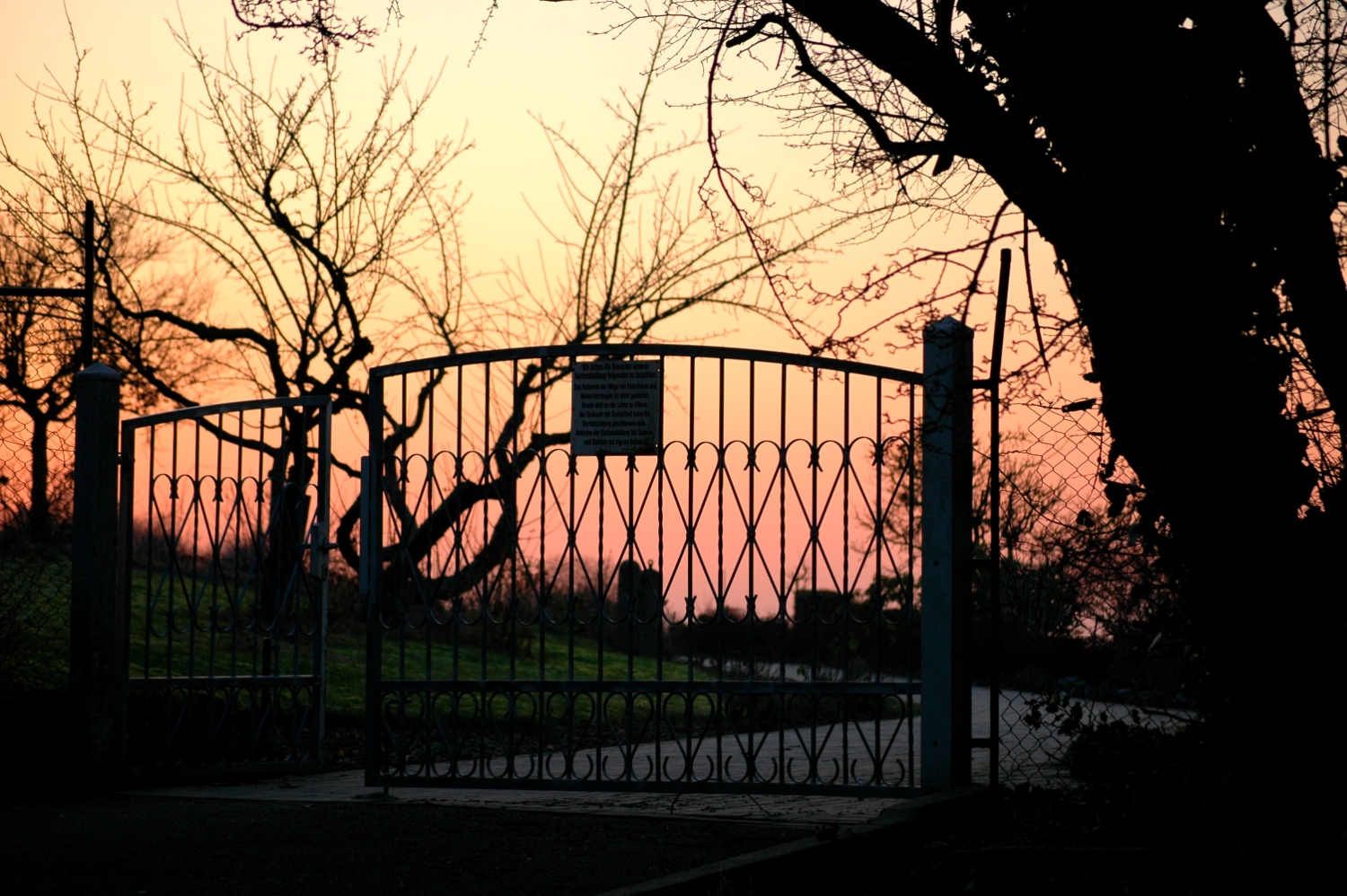 Waldspaziergang_2