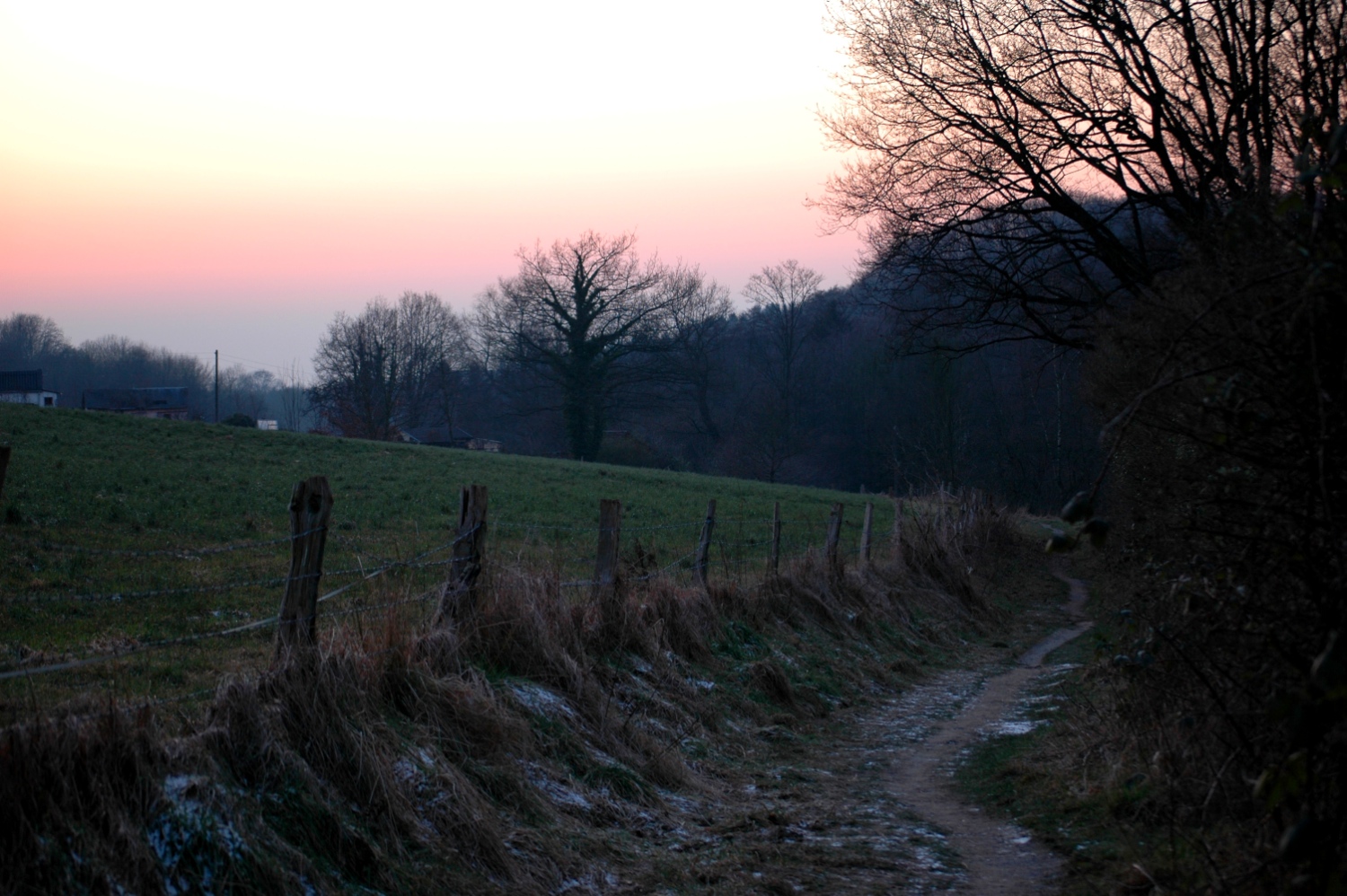 Waldspaziergang_3
